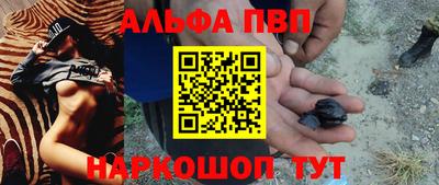 гидра Бердск