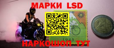 гидра Бердск
