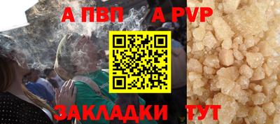гидра Бердск