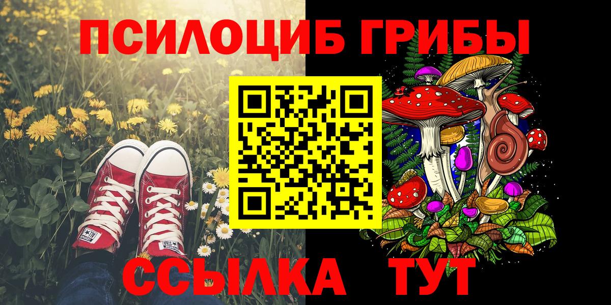 сколько стоит  Галлюциногенные грибы Psilocybe  Вход с VPN  Конаково 